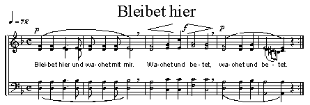 bleibethier
